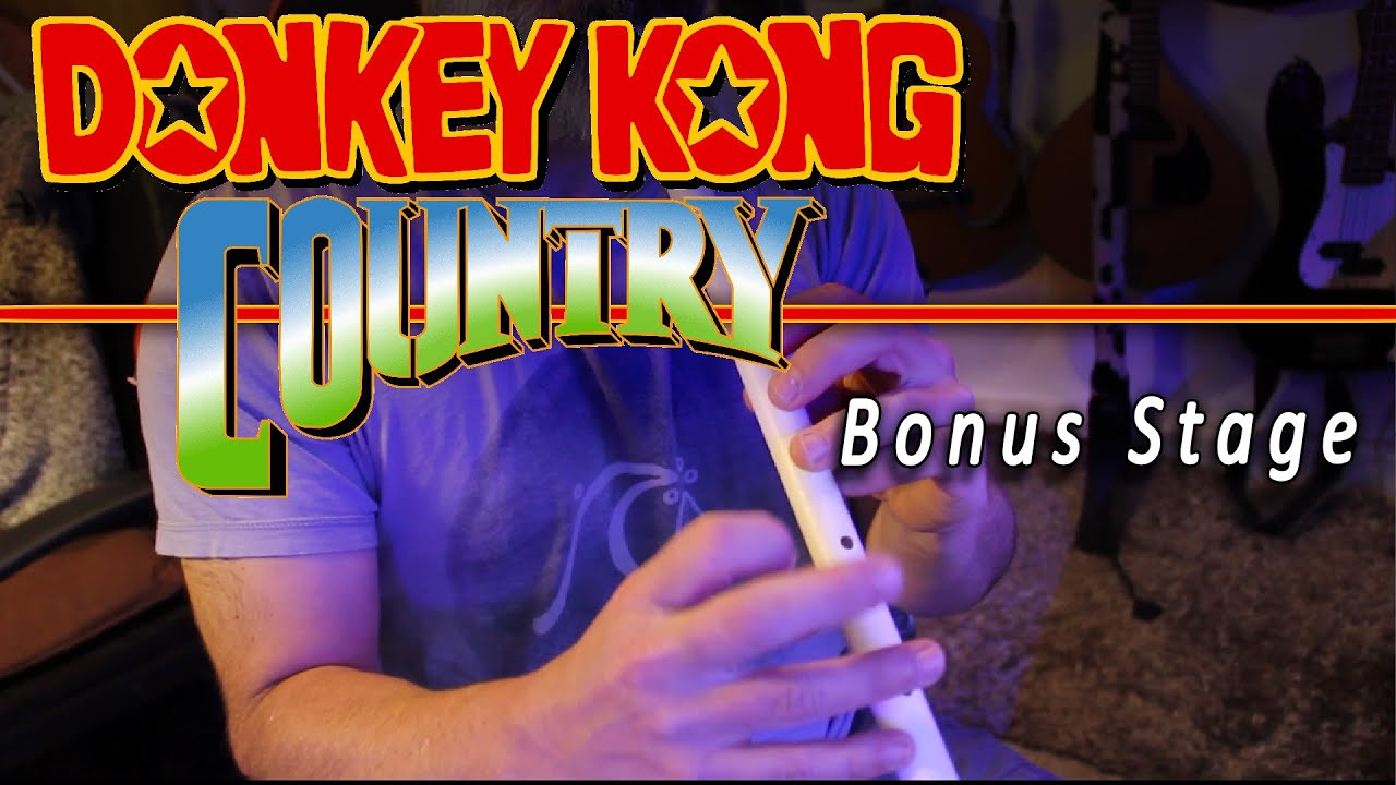 David Wise - Donkey Kong Country - Bonus Stage by @banjoguyollie