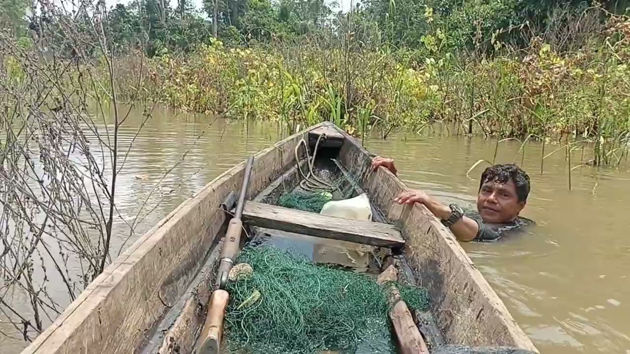TEMPLANDO LAS TRAMPEREAS SELVA PERUANA