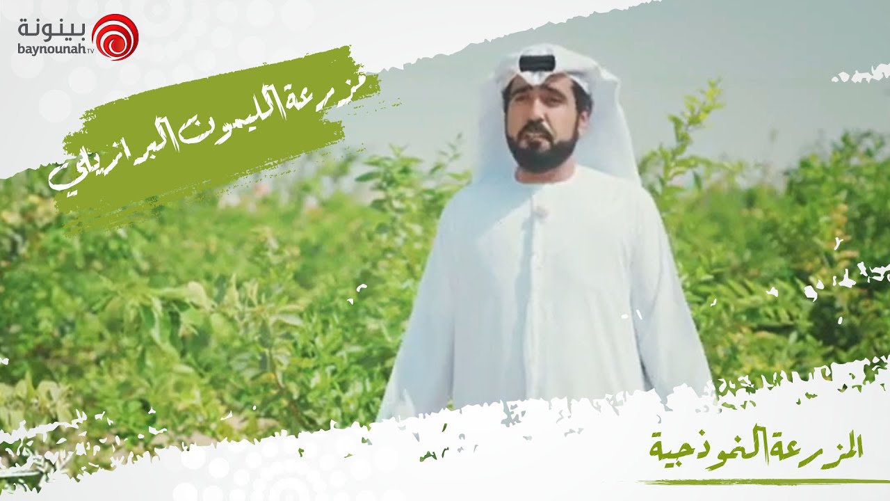 الحلقة السابعة | المزرعة النموذجية | مزرعة الليمون البرازيلي-الباهية