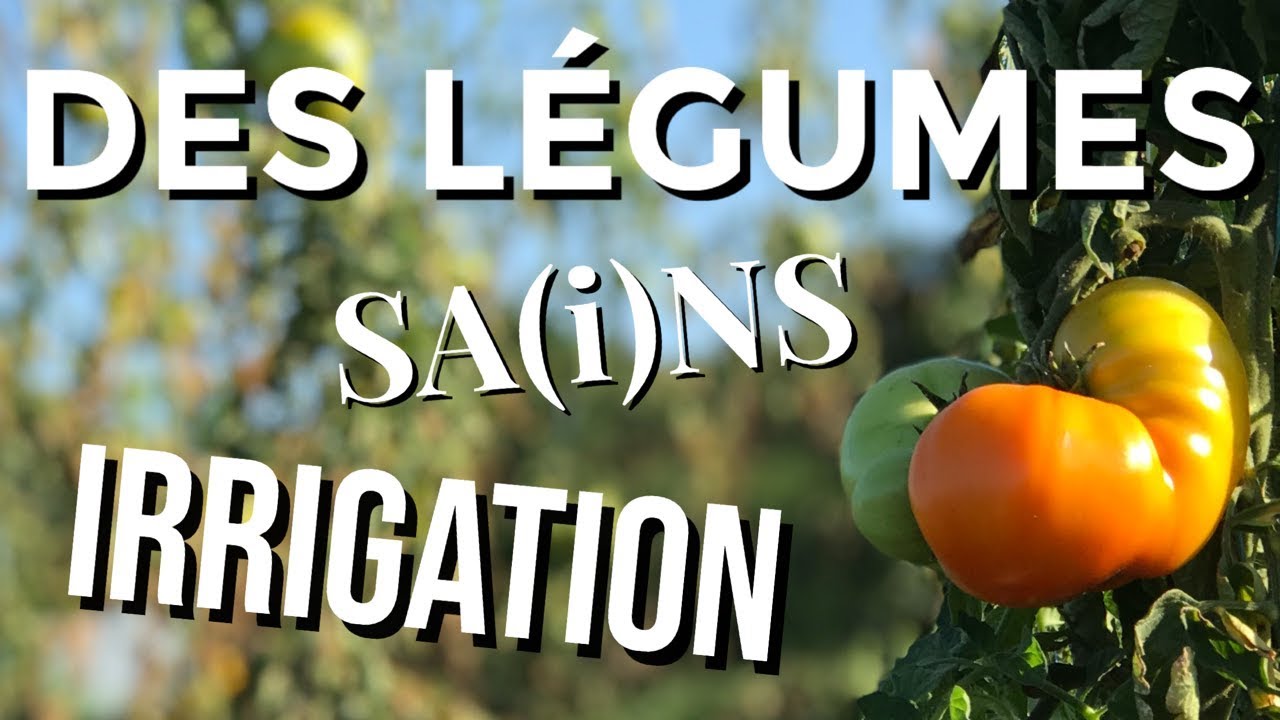Maraichage bio: L&eacute;gumes plein champs sans irrigation sur sol vivant et sur b&acirc;che.