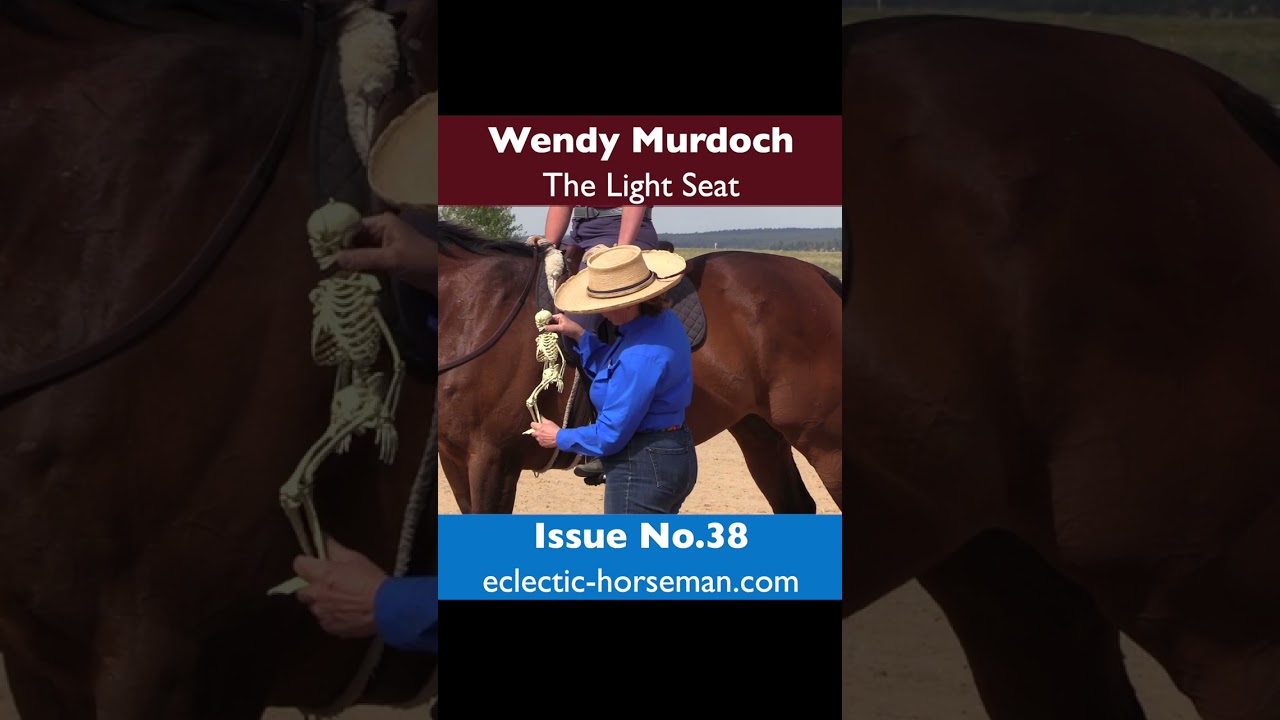The Light Seat with Wendy Murdoch from The Horseman's Gazette Issue No.38 