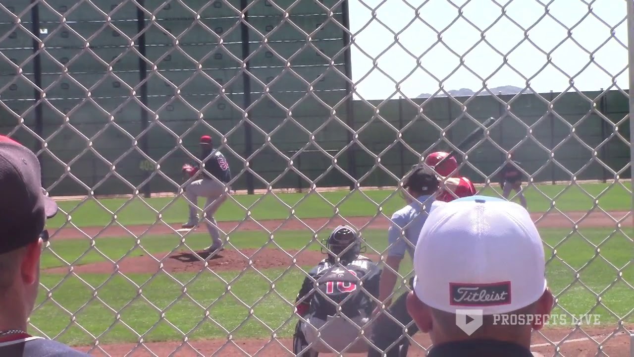 MiLB ST Mike Siani