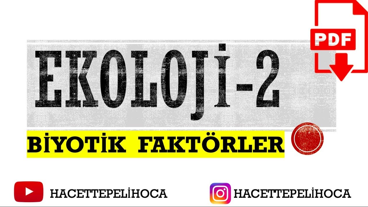 117 | EKOLOJİ 2 | BİYOTİK FAKTÖRLER | 10. SINIF| TYT | #hacettepelihoca