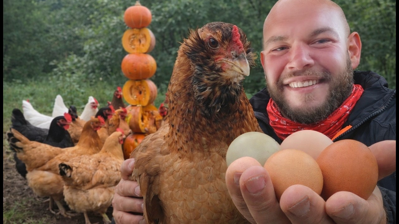 Huevos Verdes 🥚 El Truco del Gallinero