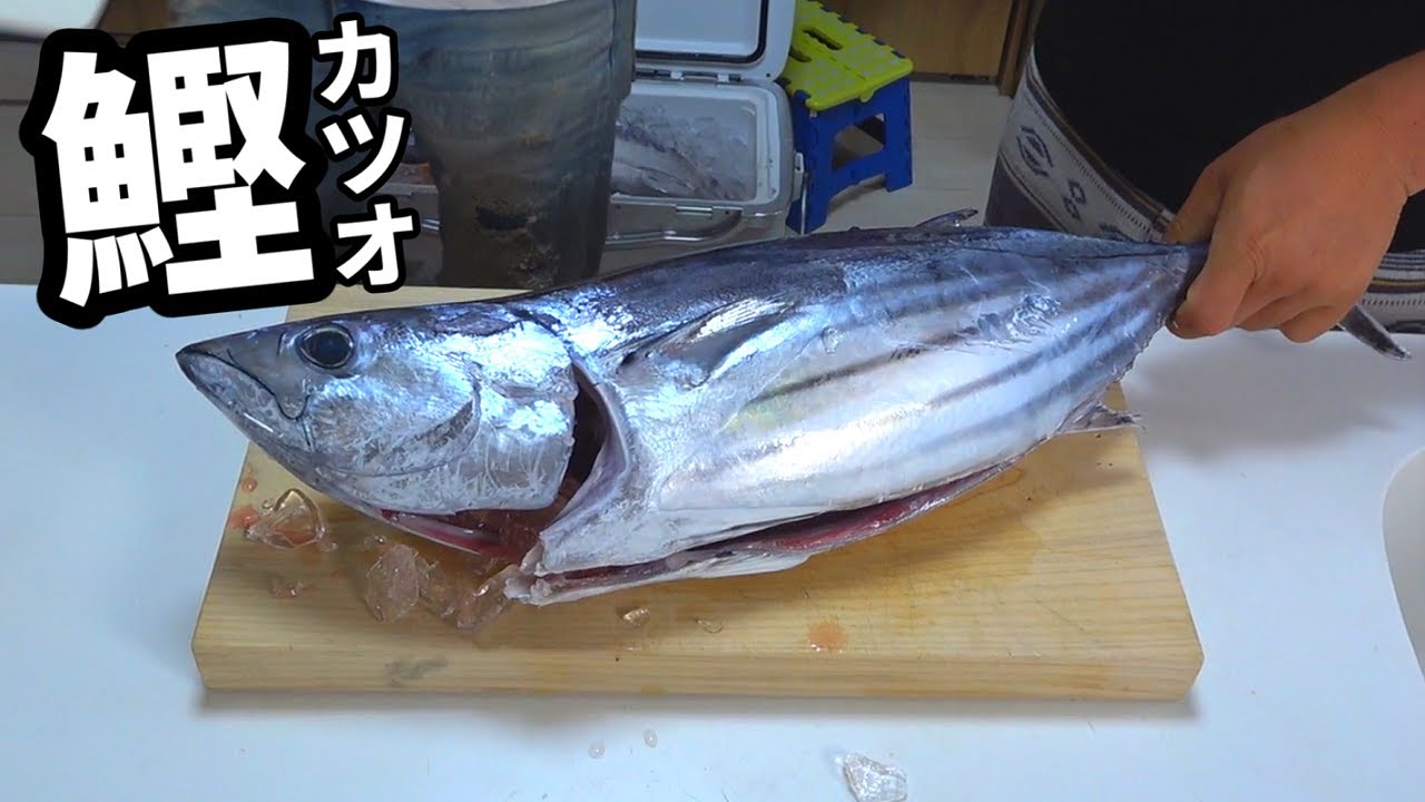 凄まじい量の脂がのったカツオのたたきが美味かった！！