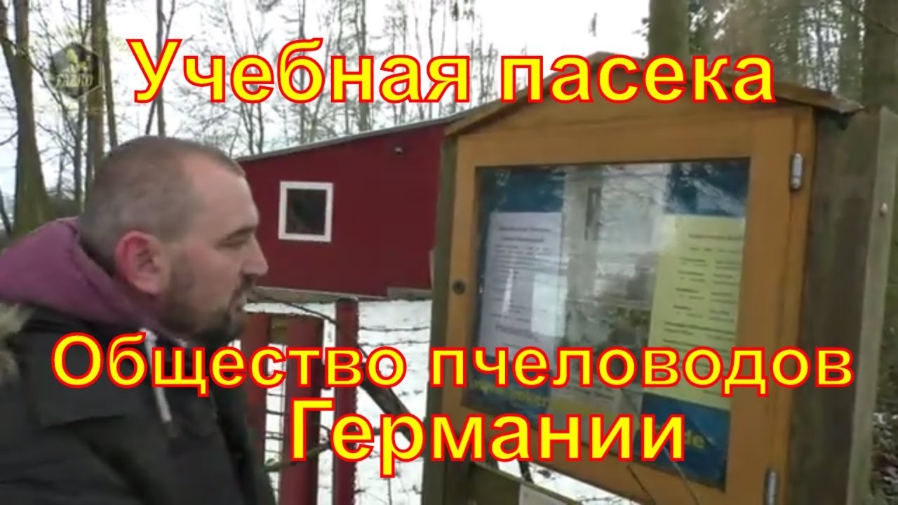 Учебная пасека общества пчеловодов Германии /  В гостях у IMKER DE / Пчеловодство Германии