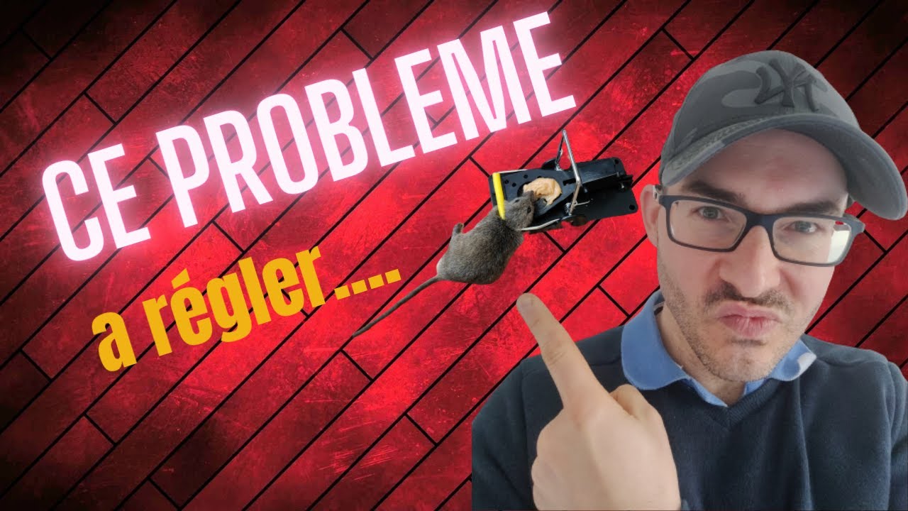 des souris dans l'appartement ?!