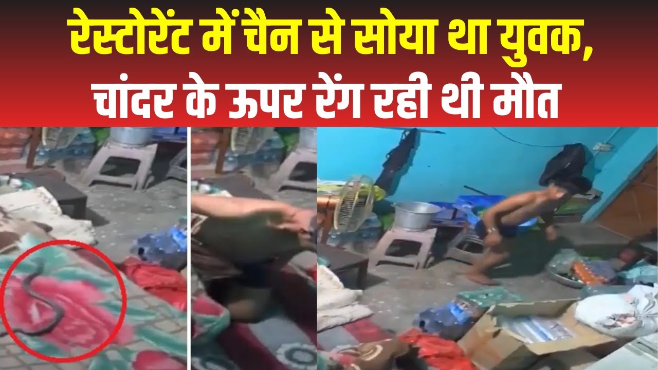 Baghpat Snake Bite Viral Video : रेस्टोरेंट कर्मी को सांप के काटने का VIDEO आया सामने, हो गई थी मौत