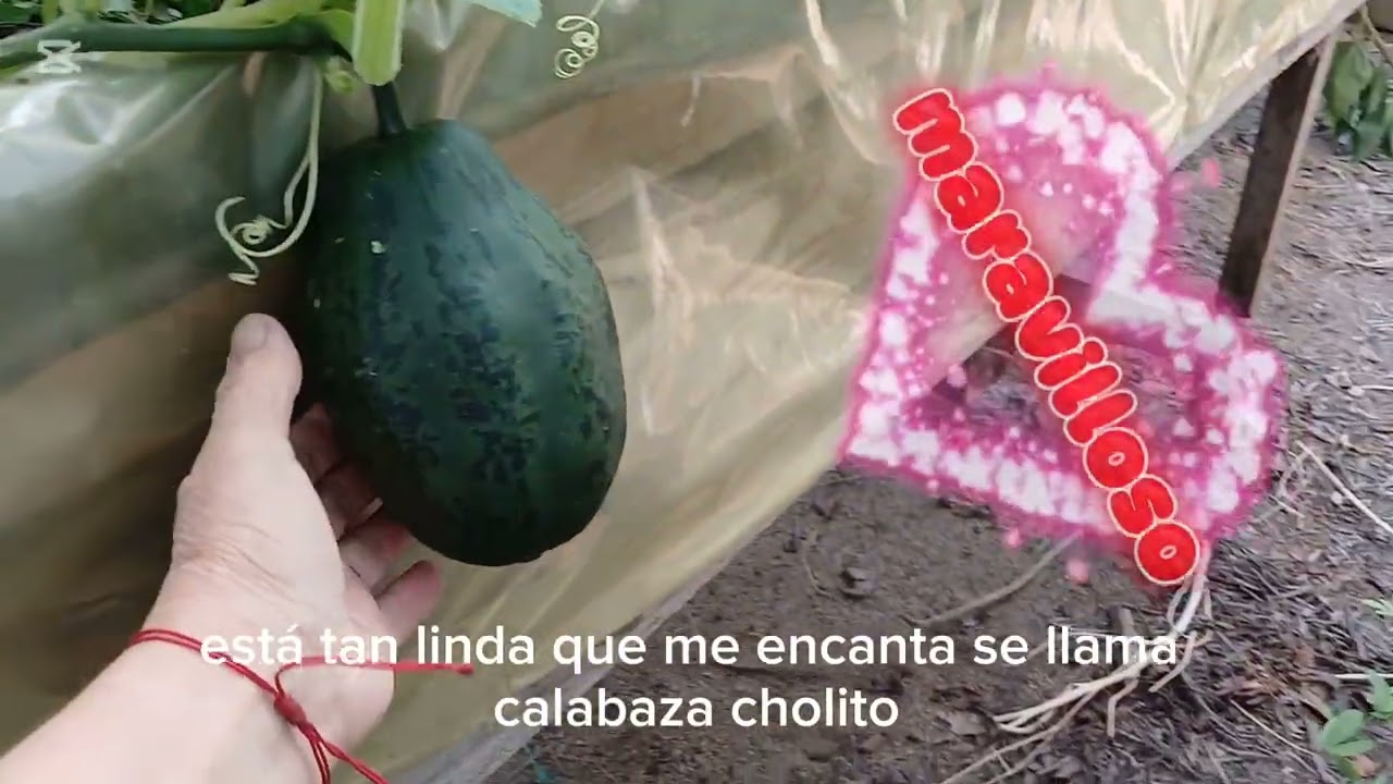 13 de febrero de 2026
