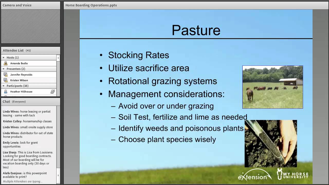 Horse Boarding Operations - What is Involved?