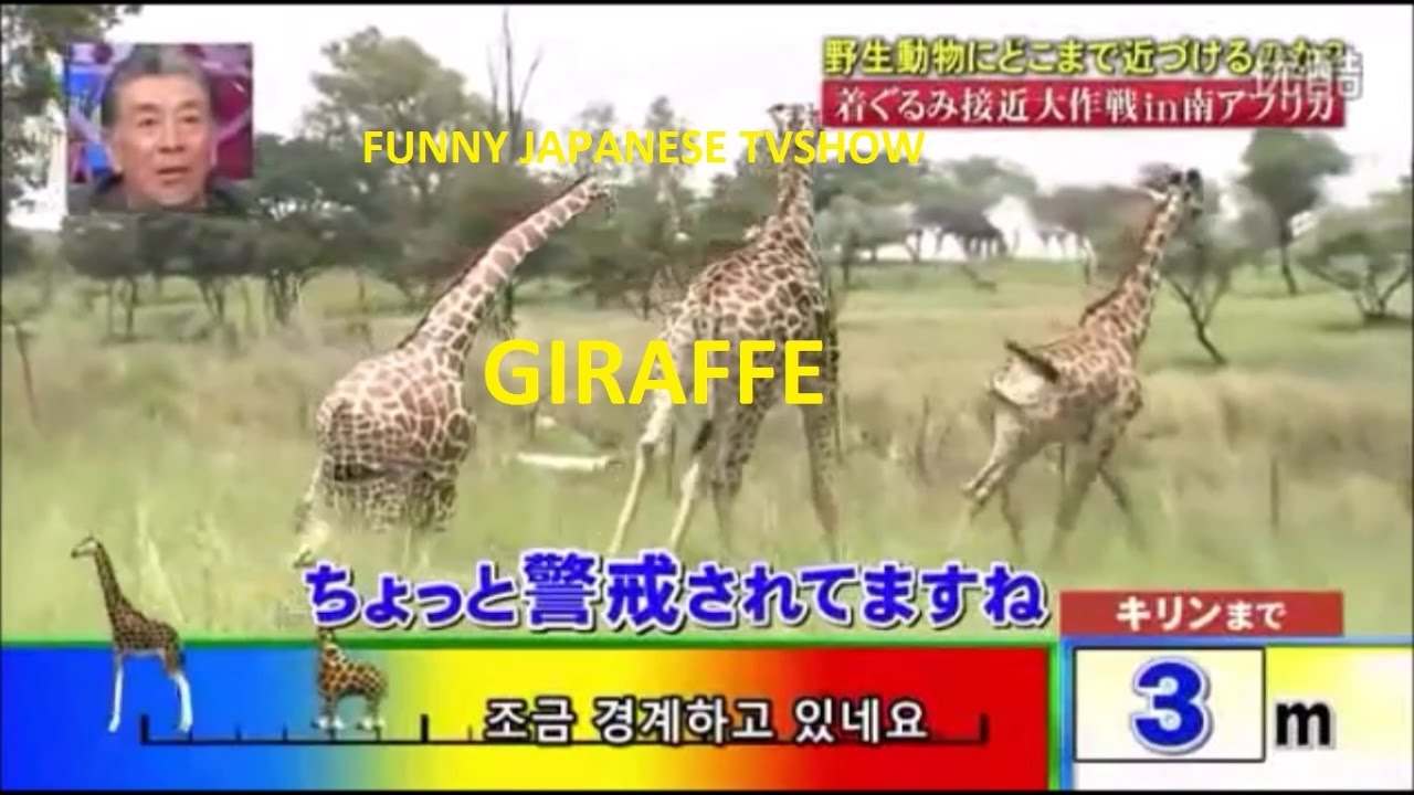 Funny Japanese Prank Cosplay Part 2 Ft Lion Tiger Giraffe 1
