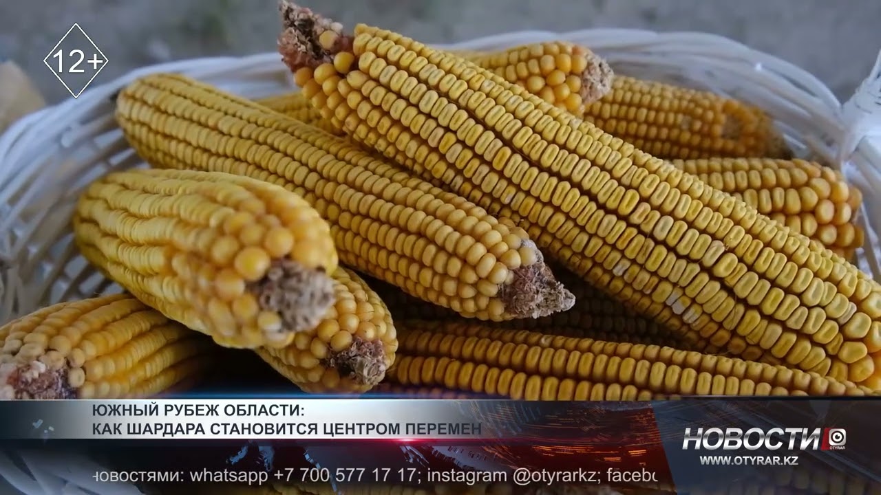 Южный рубеж области: как Шардара становится центром перемен
