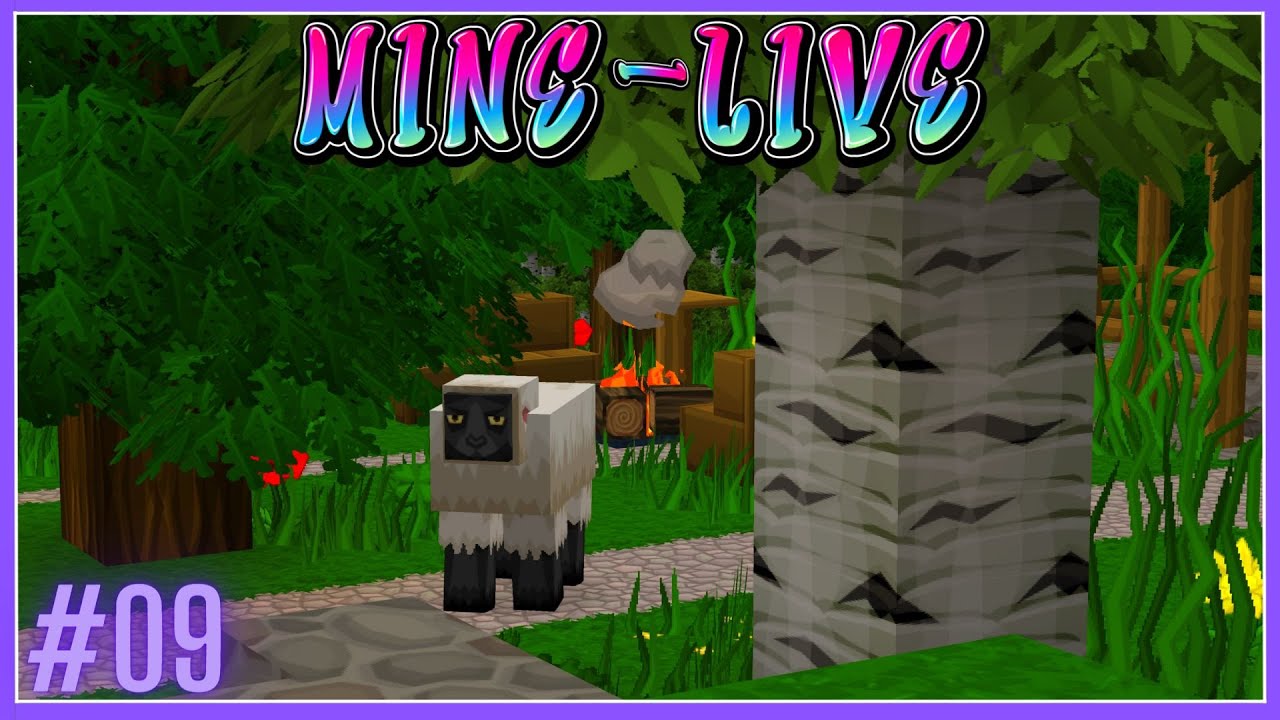 STORY: Vom Kunden fast VERGIFTET [S01E09] MINE-LIVE