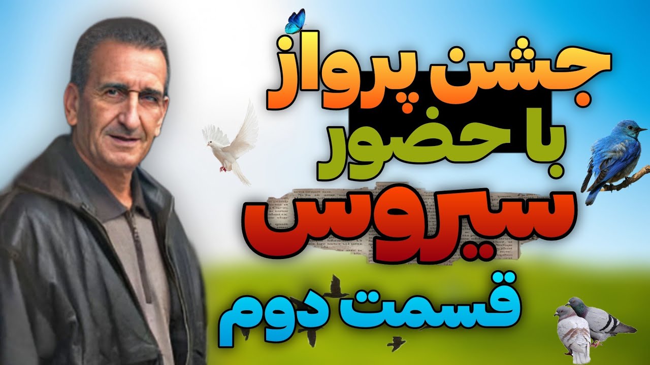برای جشن پرواز کبوتران نژاد سیاه رستاخیز سیروس#۲