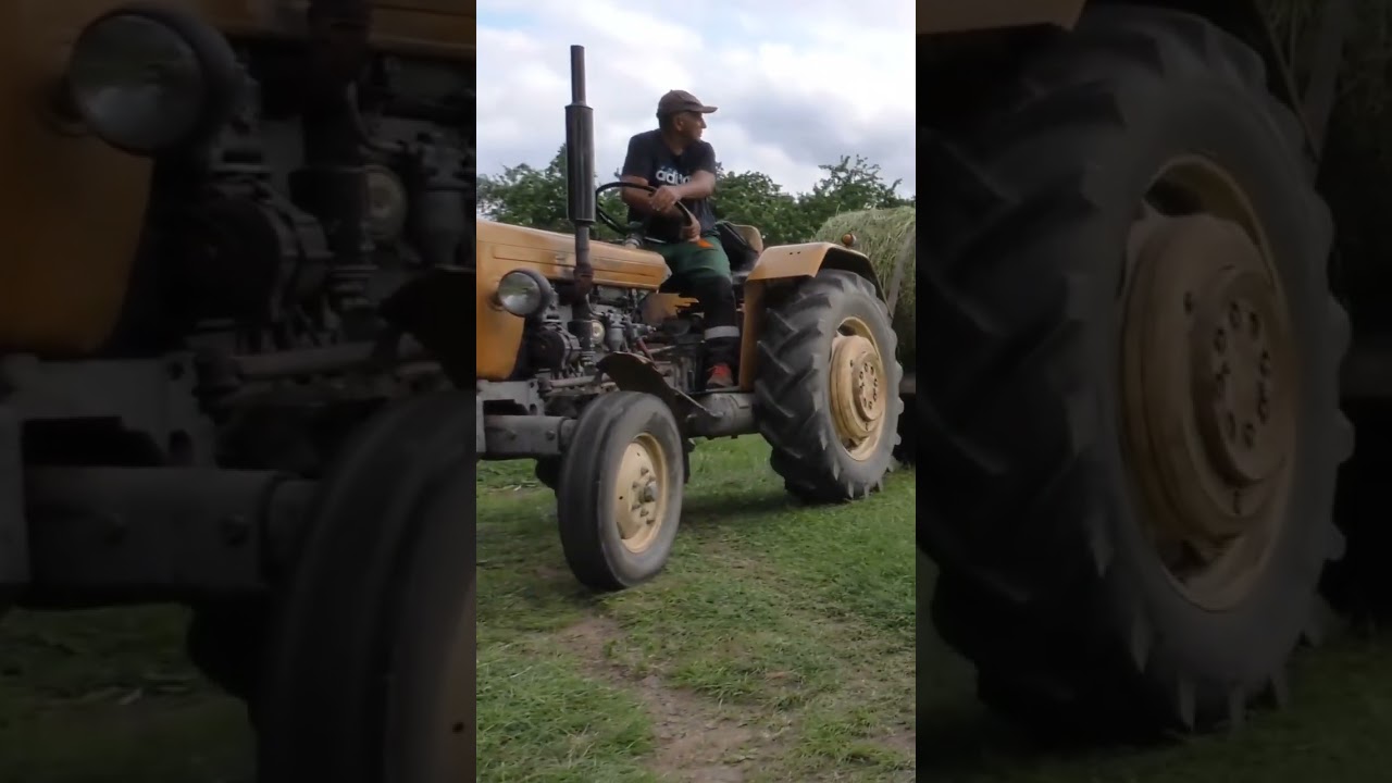 Bez Ursus&oacute;w ani rusz. Rolnictwo w Bieszczadach