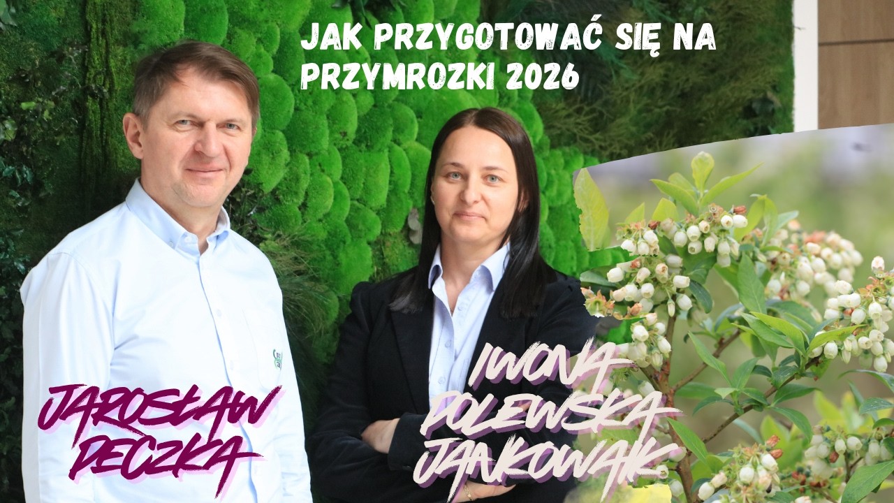 Jak przygotować się na przymrozki 2026