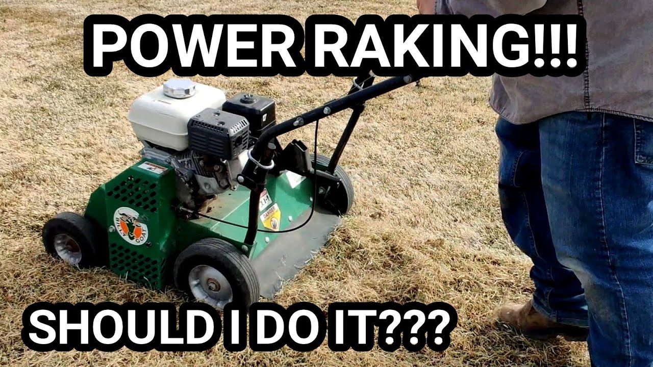 HOW TO POWER RAKE/DETHATCH YOUR LAWN??? Billy goat power rake.