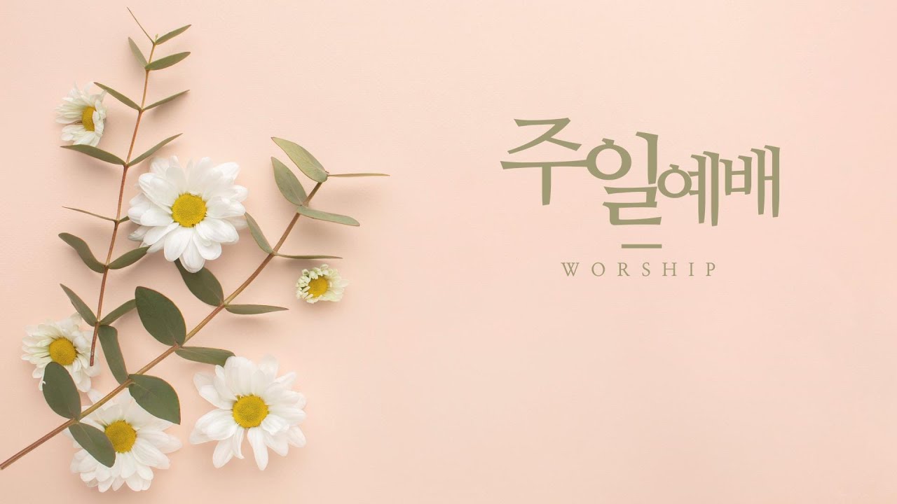 260315 주일예배 2부 실황