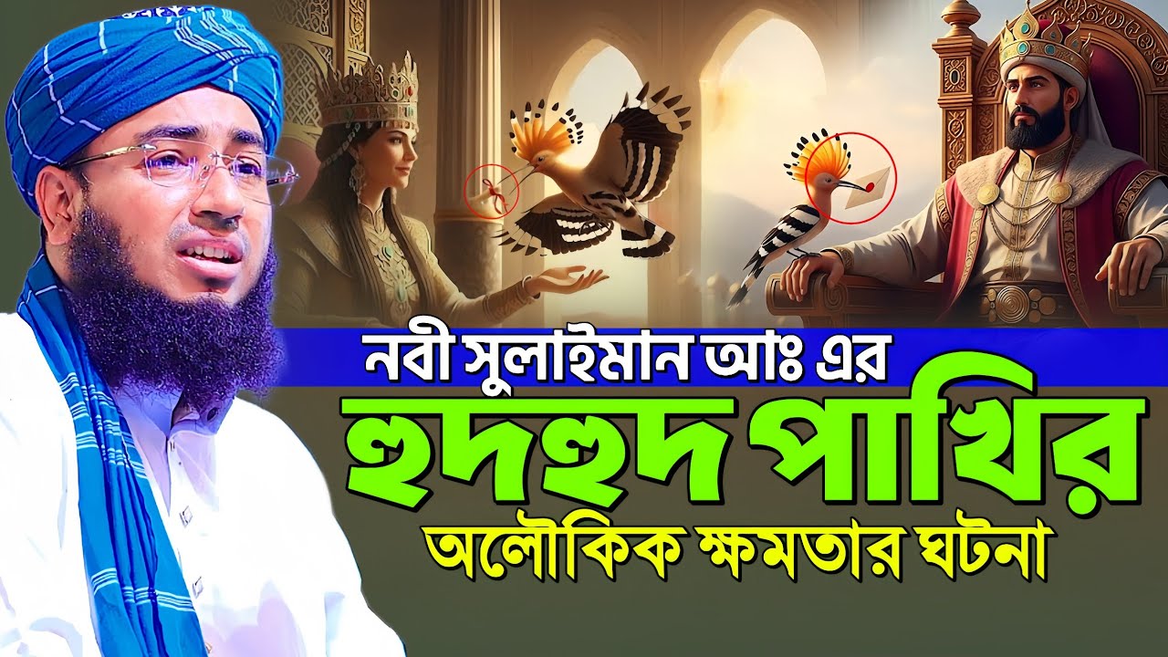 নবী সুলাইমান আঃ এর হুদহুদ পাখির অলৌকিক ক্ষমতার ঘটনা || Mufti Jahirul Islam Faridi