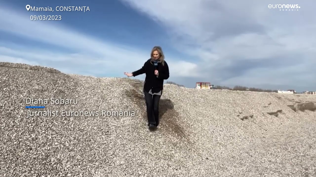 Dune de nisip pe sectoarele de plajă extinsă din Mamaia