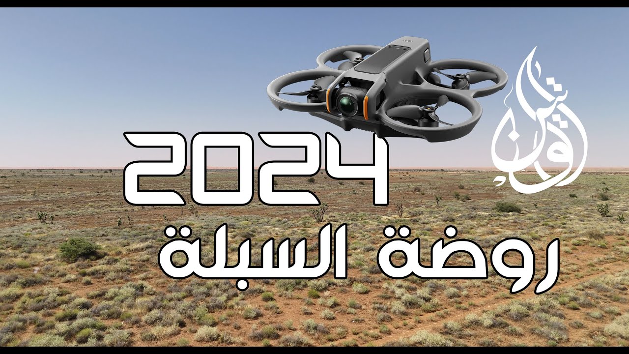 حلق معي فوق روضة السبلة بالقرب من الزلفي