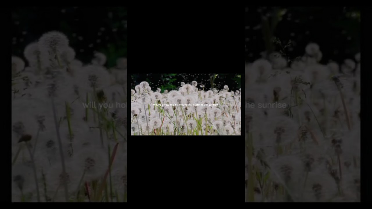 my light -yungkai lyrics #lyrics #mylight #yungkai