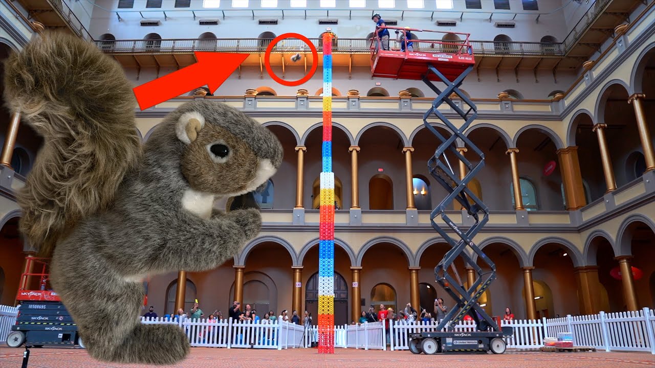 Squirrel Destroys WORLD'S TALLEST DOMINO TOWER!