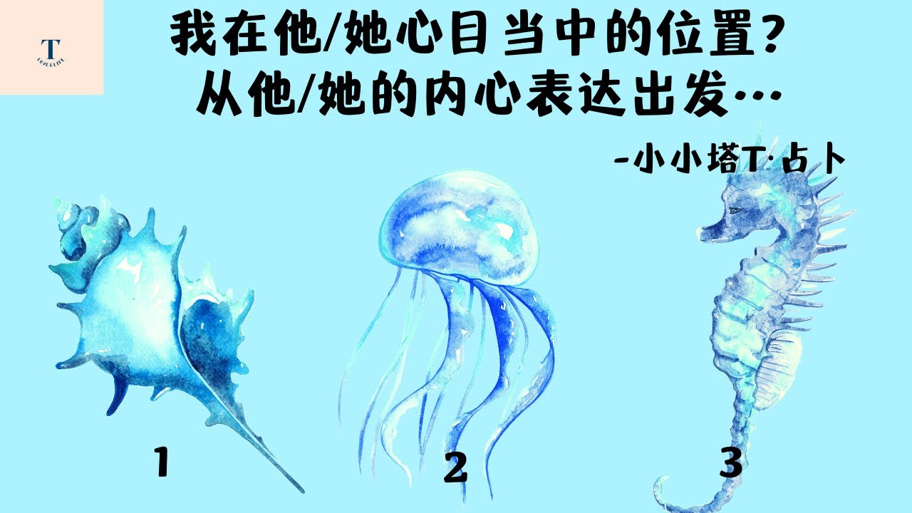 小小塔🍀💬🍀你在他/她心目當中的位置？當下能量，從對方內心表達來理解他/她對你的情感？