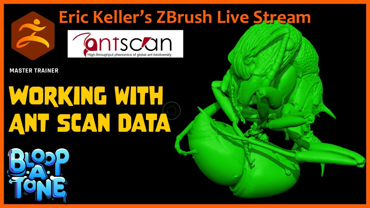 Insect Inspired Sculpting with Eric Keller: AntScan Part 2