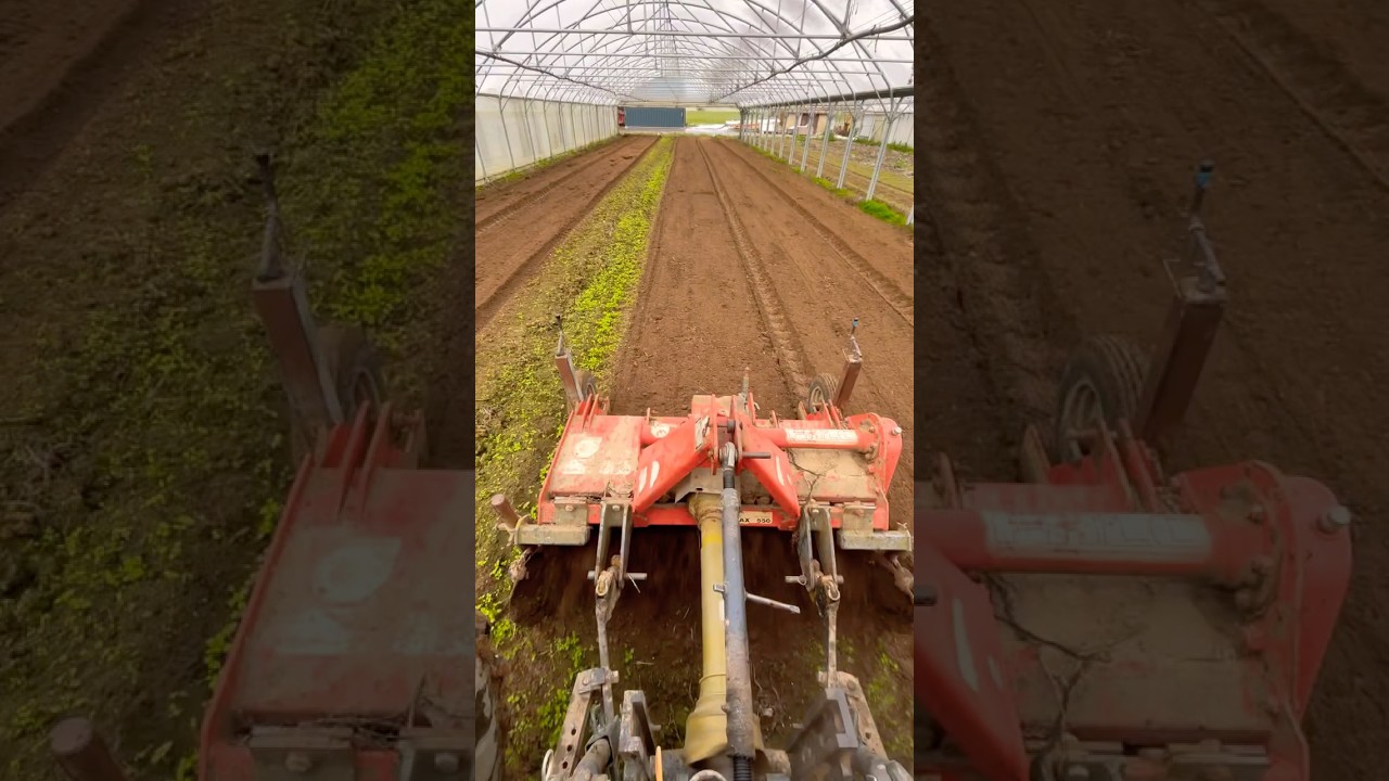 Premières plantations de 2026 sous serre