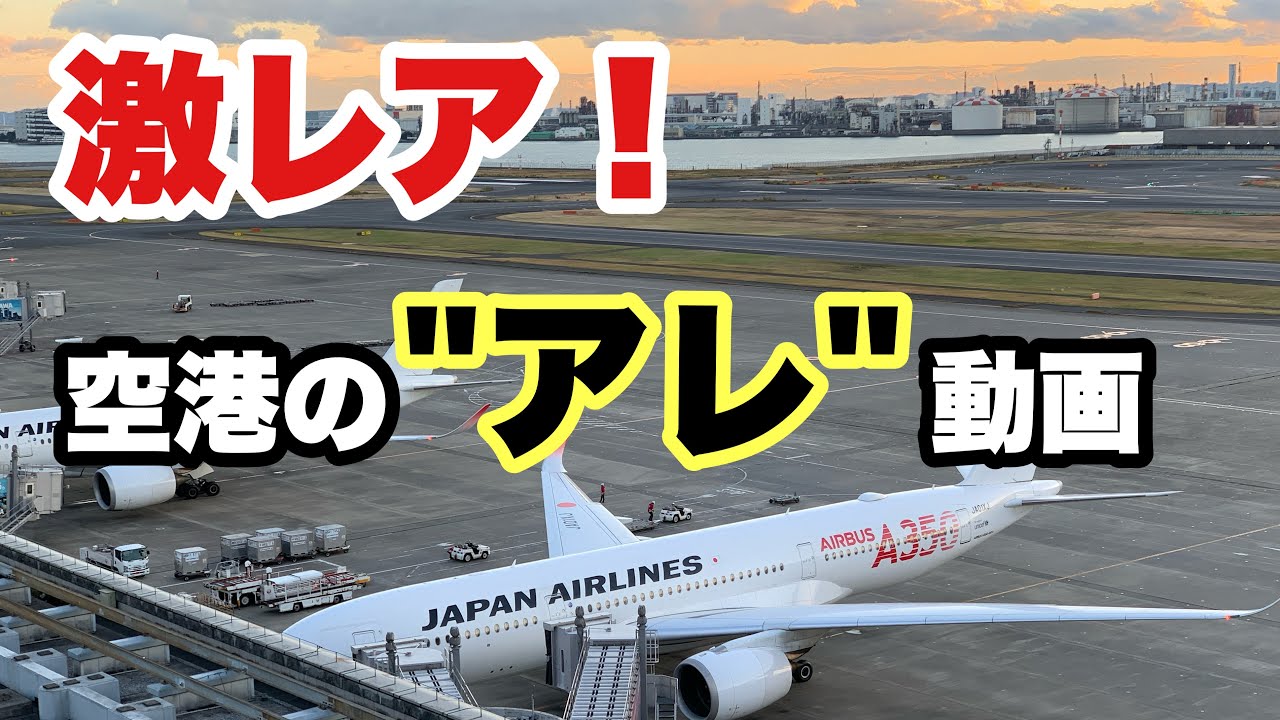 激レアさん！  空港にいても誰も気づかない「アレ」を動画にしてみた【IBA-AIR】