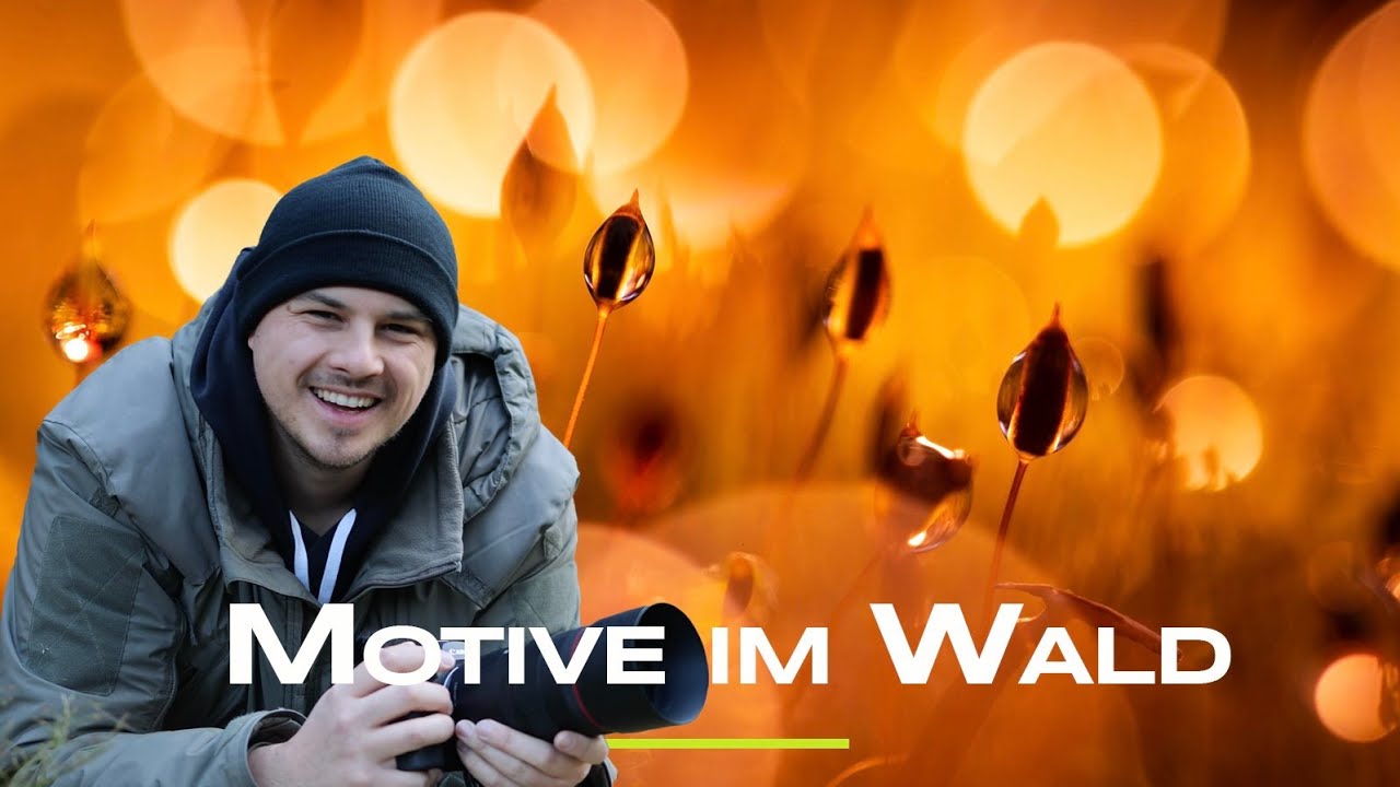 Spannende Motive im Wald fotografieren - Tutorial Naturfotografie