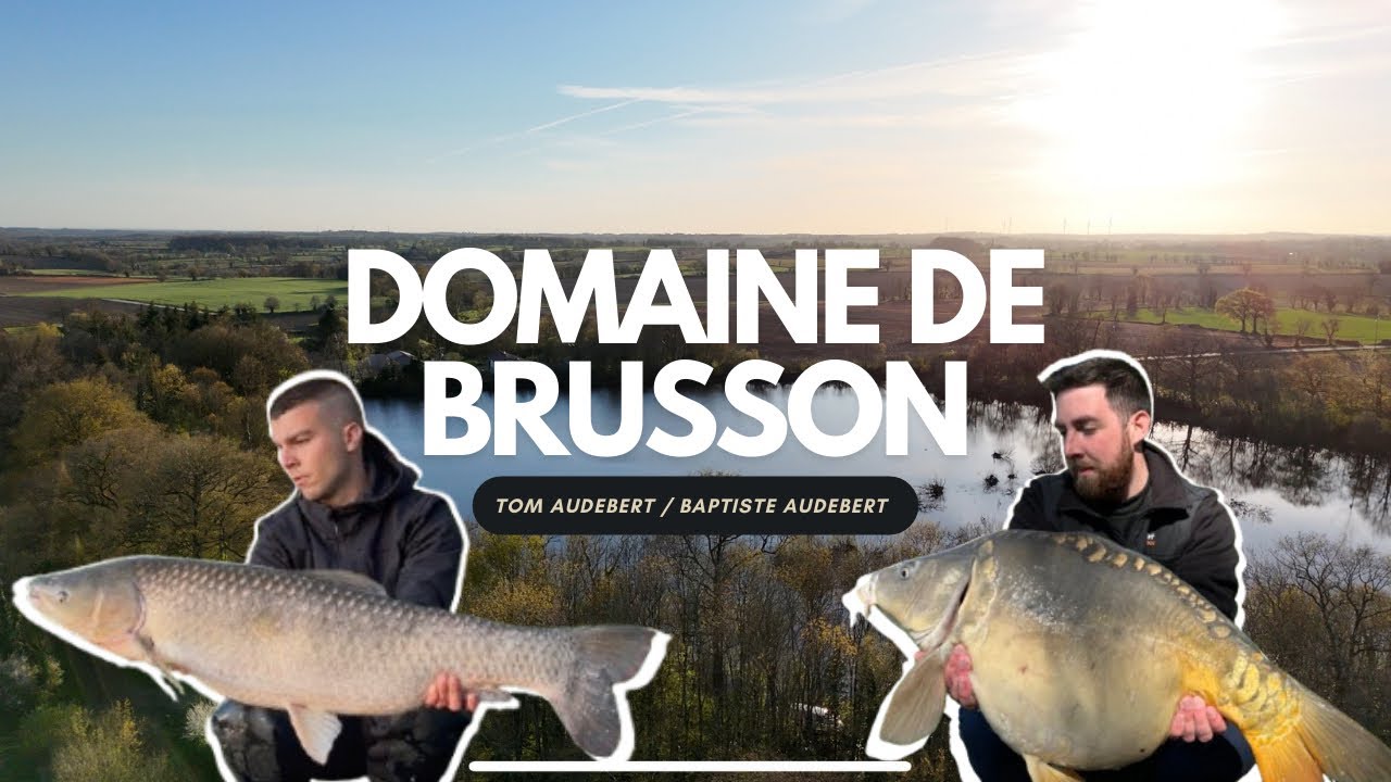 DOMAINE DE BRUSSON - Pêche de la carpe
