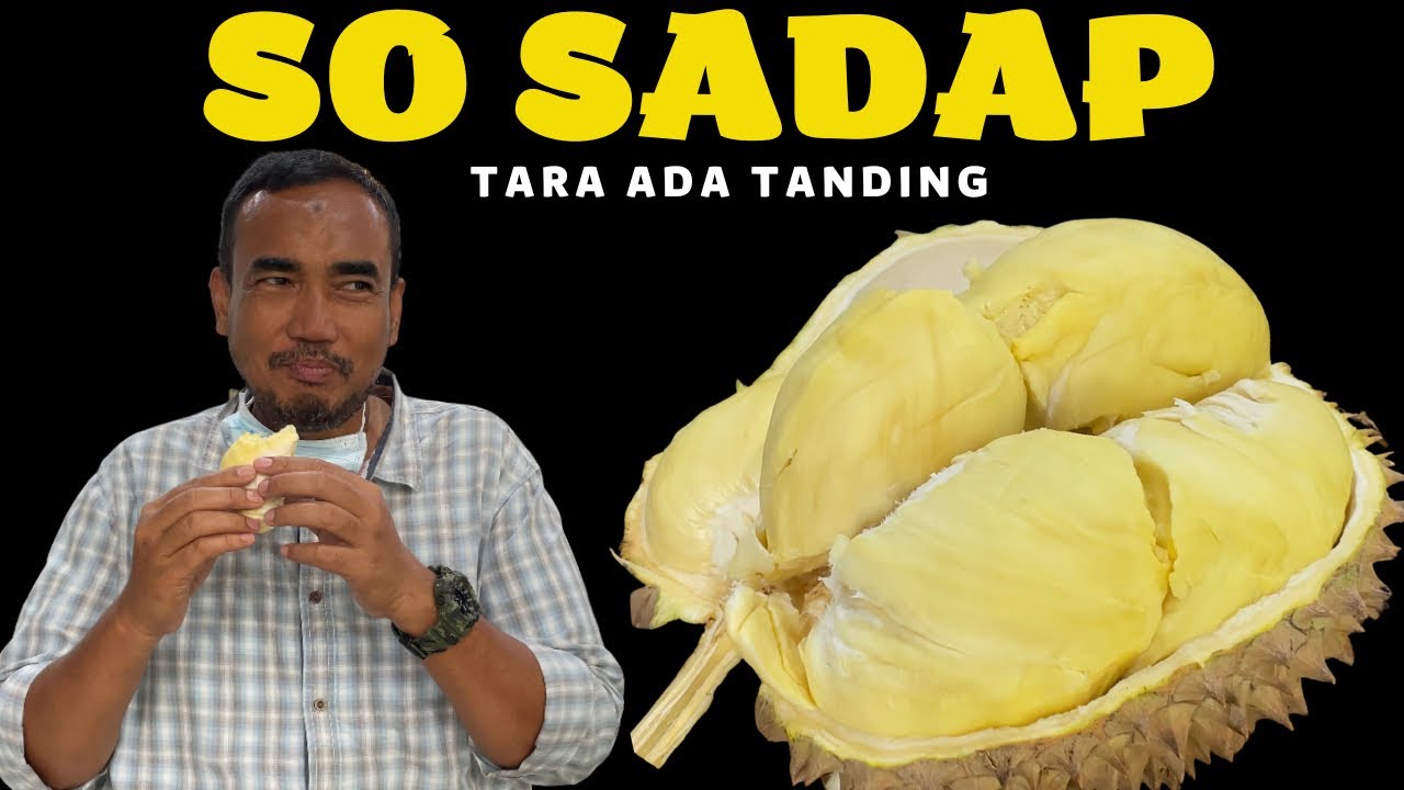 MANTAP TO ⁉️ DURIAN MONTONG + DURIAN MUSANGKING #durian #durianmontong #musangking #masduren