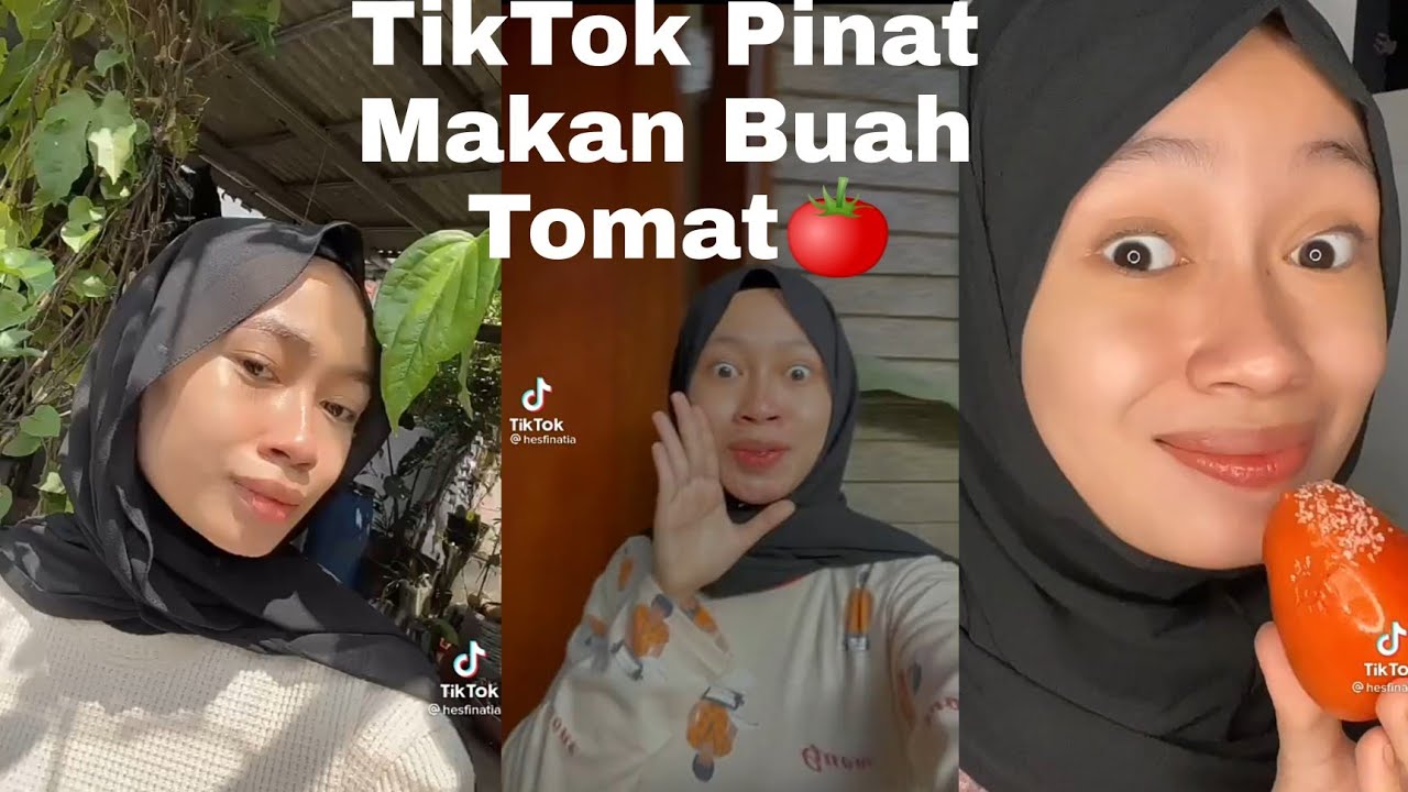 TIKTOK PINAT PANEN BUAH!!