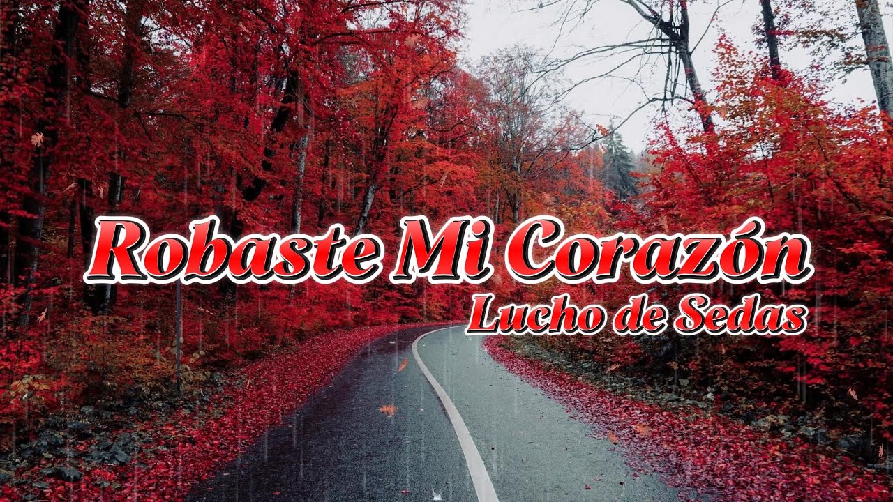 Robaste Mi Corazón  - Lucho de Sedas (Video Lyrics)