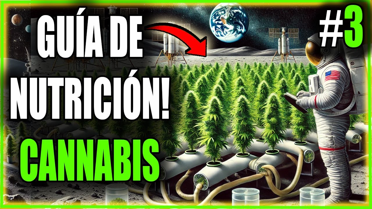 🌻 CÓMO FERTILIZAR CULTIVO EN COCO🌱 - CURSO De AUTOCULTIVO #3 INDOOR