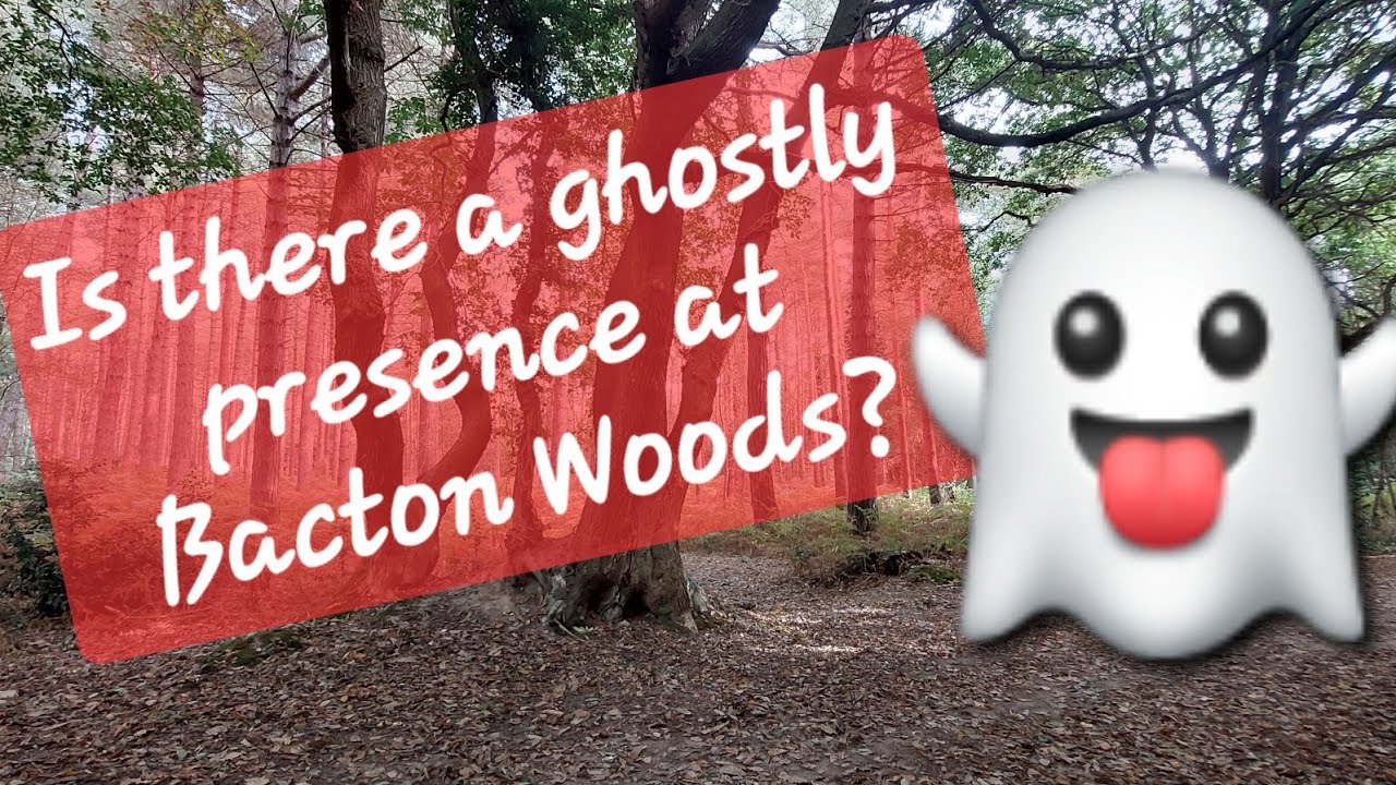 Walking At Bacton Wood - Who's Ghost Is Said To Haunt The Woodland?