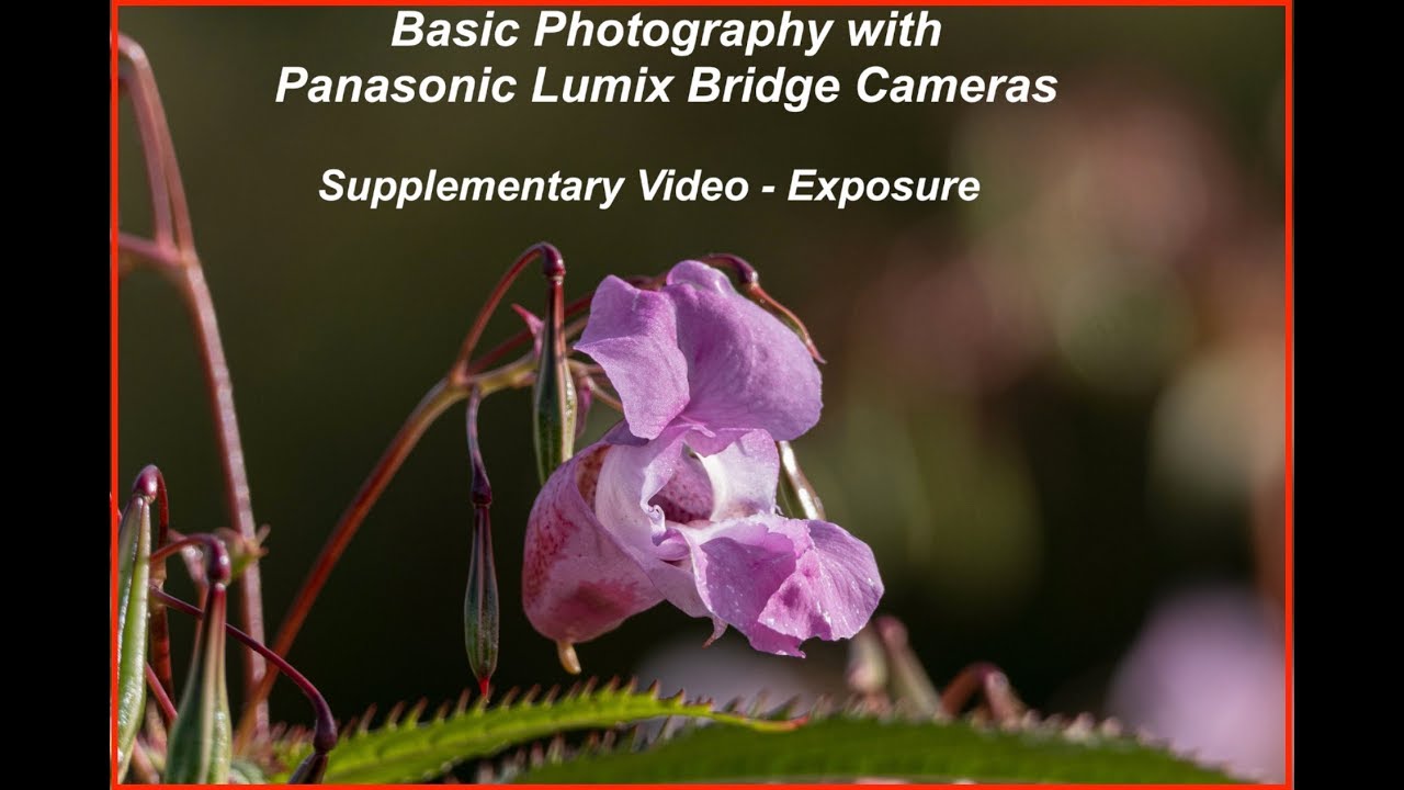 Basic Photography with Panasonic Bridge Cameras: Part 5 Supplemental: EXPOSURE