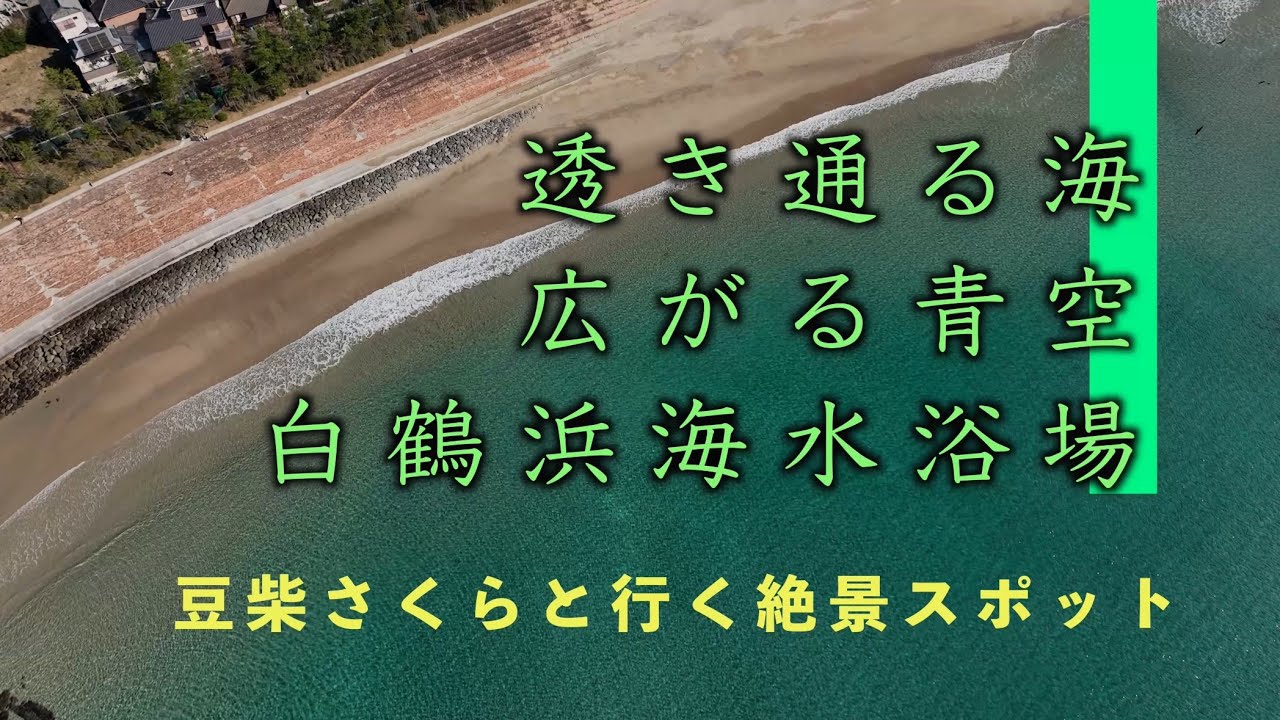  【天草の奇跡】エメラルドグリーンの白鶴浜を空から…鳶が舞う絶景空撮