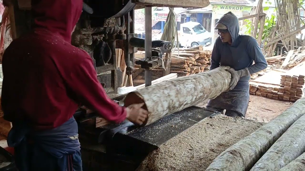 HASIL BERLIPAT POTONG KAYU SENGON 