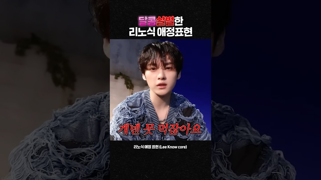 🩷달콤살벌한 리노식 애정표현☠️ (Lee Know core)