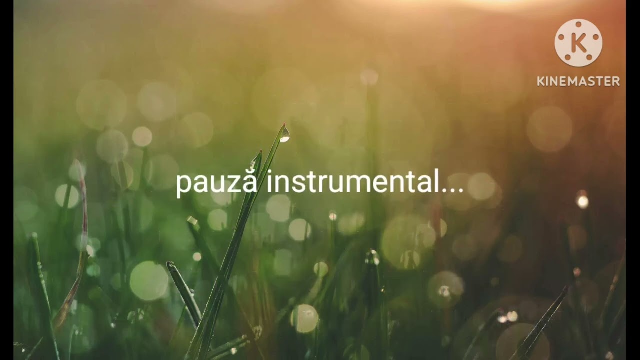 Tu eşti floarea din grădină-Instrumental cu versuri 2023