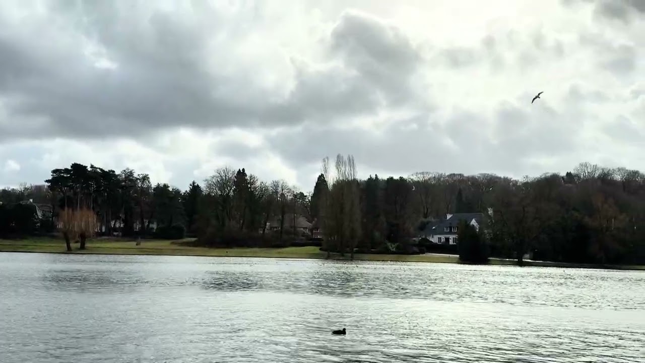 ScenicBeauty#QuietMoments#Sukoon#AestheticVibe