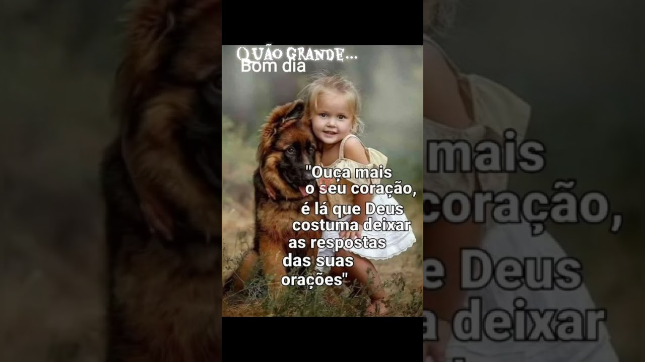 4 de novembro de 2025