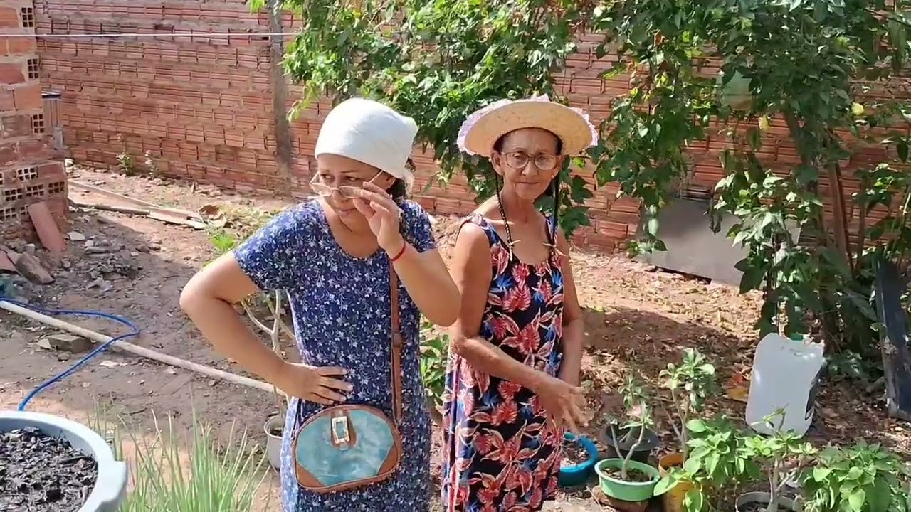 Dona Tereza foi no camelô das bacias comprar escondida da sua comadre Pitomba  #comedia #humor 