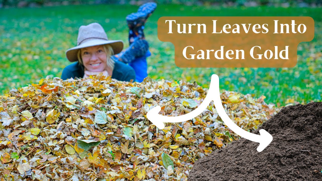 How to Make Leaf Mold EASY Guide
