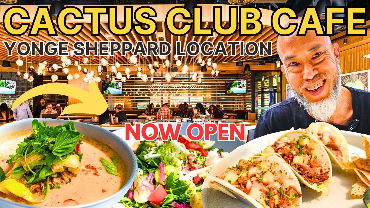 NOW OPEN CACTUS CLUB CAFE YONGE&SHEPPARD TORONTO BEAUTIFUL PATIO VIEW NEW RESTAURANT NORTH YORK