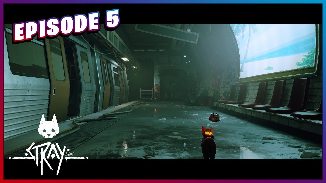 [Stray] Une Diff&eacute;rence De Classe Injuste ! | Let's Play n&deg;5