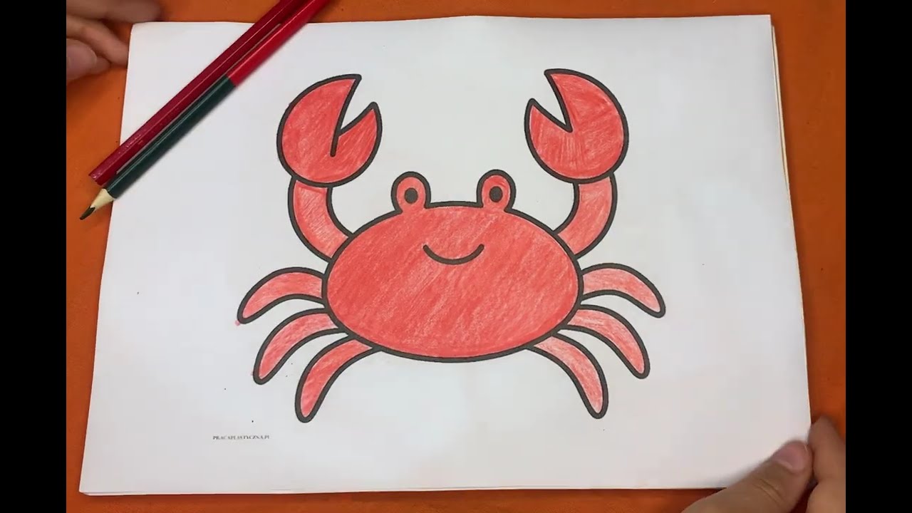 Hi friends ! 😍 WOOOOW what is this cute red thing ? That’s right ! It’s a Crab 🦀!!l